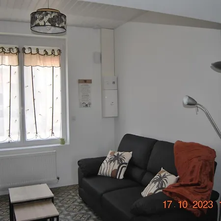 Duplex Avec Jardin Prive, A 20km Des Caps - Fr-1-376-116 公寓 *